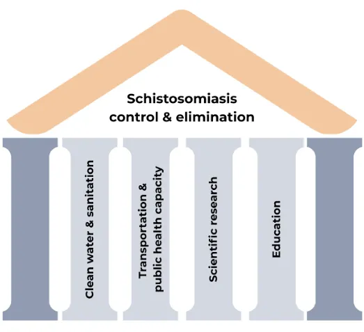 Figure 3: Policies targeting sectors across a variety of areas can contribute to NTD control and elimination. Here, we focused on clean water and sanitation, transportation infrastructure and public health departments, scientific research, and investment in education. However, addressing these areas alone will not result in the eradication of NTDs. The dark blue pillars represent other sectors that contribute towards disease control not discussed here, including but not limited to climate change adaptation, animal health, and public safety and national security. (This figure was made using Canva).