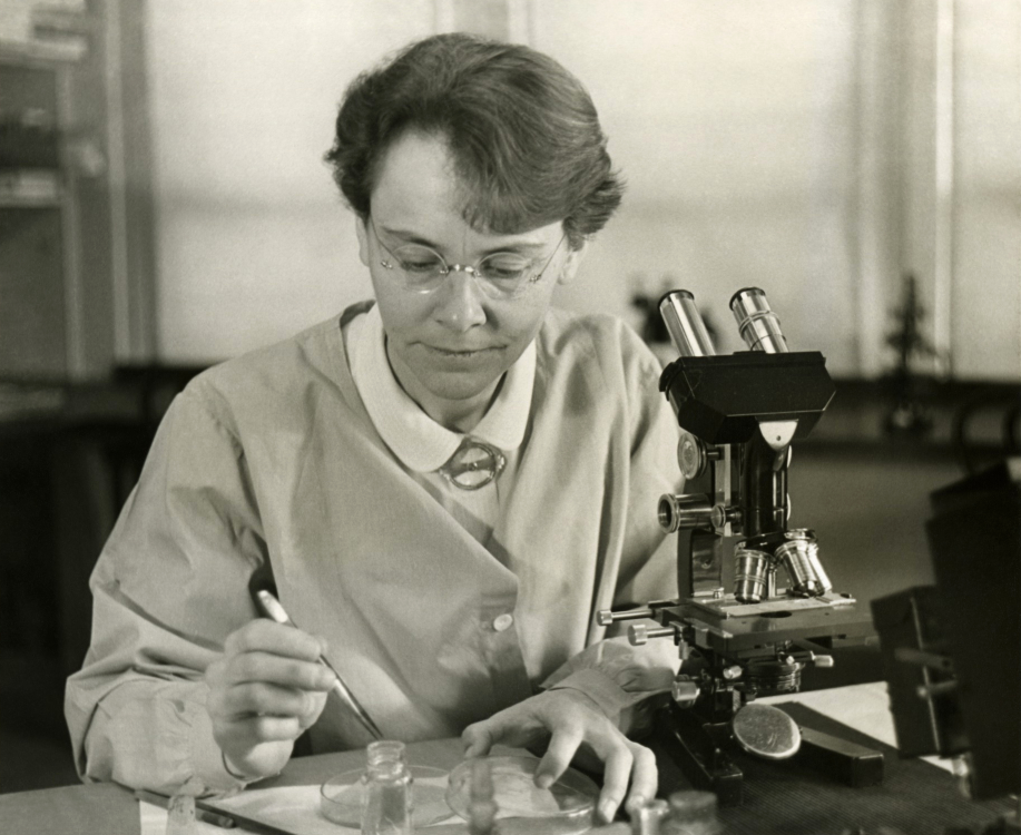 Barbara McClintock in her lab, 1947